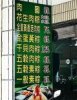 肉粽英