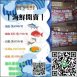 有夠鮮-烤蚵吃到飽/東石烤蚵吃到飽