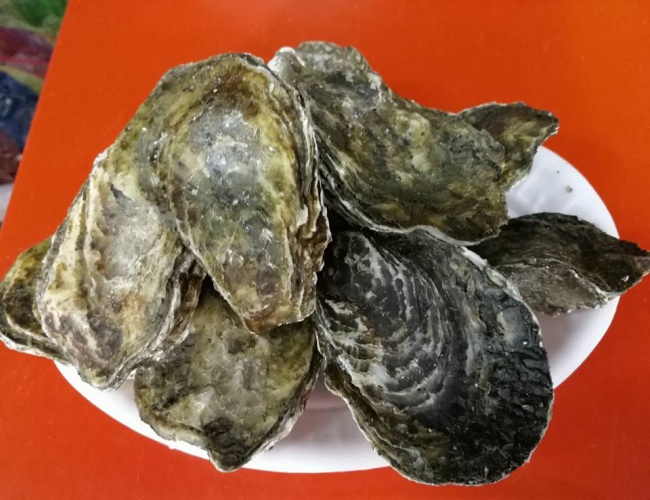 立林海鮮碳烤/東港海鮮碳烤美食