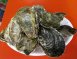 立林海鮮碳烤/東港海鮮碳烤美食