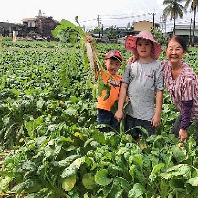 傅爸爸蘿蔔園/高雄美濃蘿蔔園