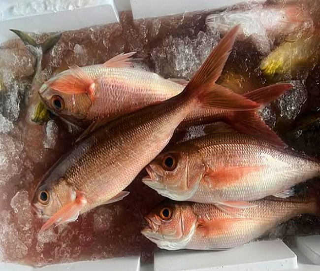 山水港海鮮快炒/宜蘭海鮮快炒美食