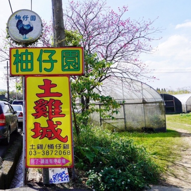 柚子園土雞城/桃園大溪土雞城