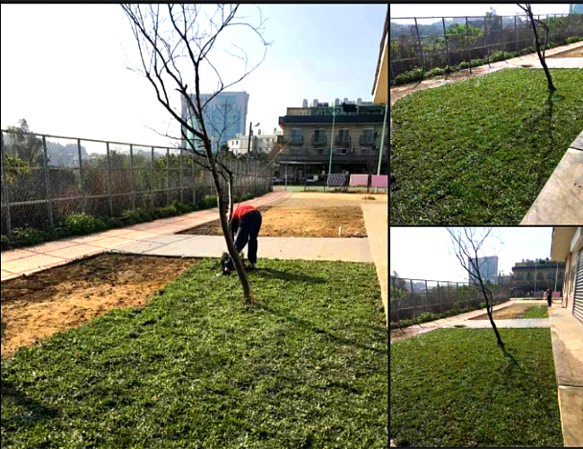 東平種苗園