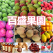 百盛果園