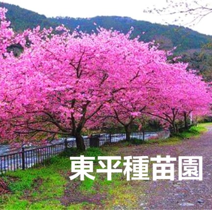 東平種苗園