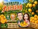 東昇觀光果園/大坑椪柑
