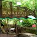 鳳崎真艾農園/新竹親子活動農場