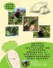鳳崎真艾農園/新竹親子活動農場