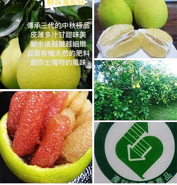 麻豆桔柚專賣