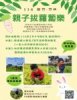 鳳崎真艾農園/新竹親子活動農場