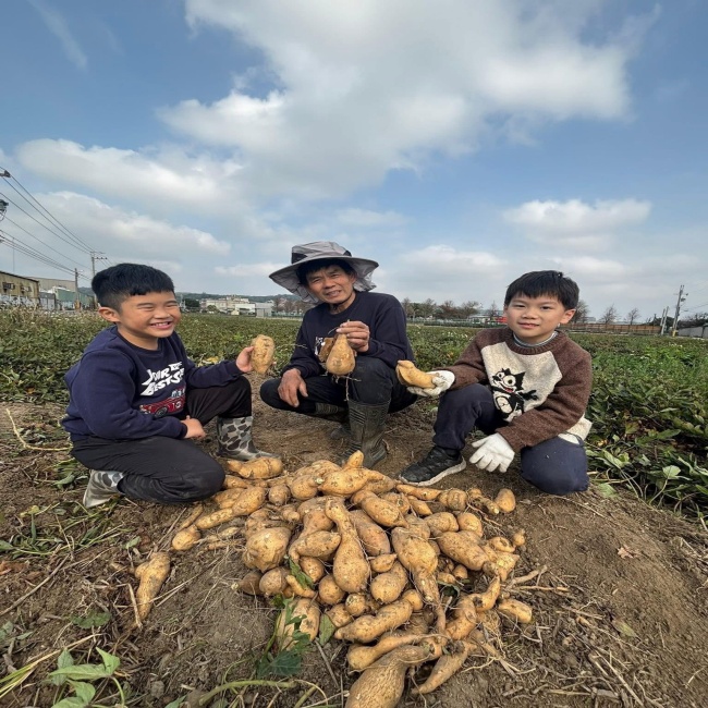鳳崎真艾農園/新竹親子活動農場